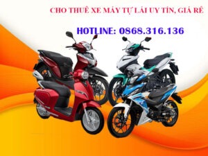 thue xe may tu lai 3