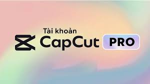 Capcut Pro